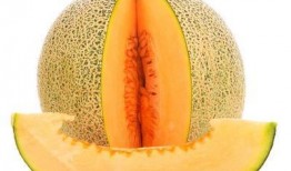 口疮吃哈密瓜,哈密瓜助力缓解口疮困扰