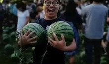 学校吃瓜男女事件,吃瓜男女事件揭秘