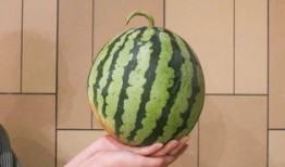 吃瓜是甜的,吃瓜为何甜的秘密