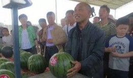 临县吃瓜群众,揭秘当地生活百态