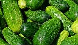 梦见别人吃坏瓜