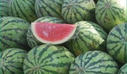 糖高吃西瓜白瓜,糖高患者夏季西瓜与白瓜的食用指南