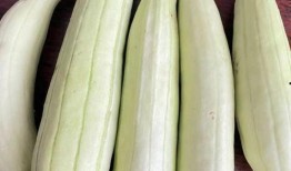 吃瓜顶呱呱头像,揭秘网络红人背后的故事