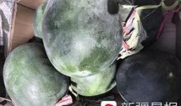 吐鲁番吃瓜群众拍摄者,吃瓜群众的镜头下的甜蜜瞬间