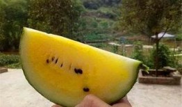 水果店吃瓜视频,水果店吃瓜视频带你领略夏日清凉