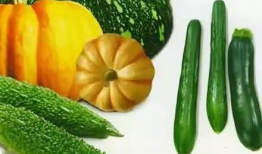 社恐吃瓜,轻松应对社交焦虑