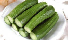 可可吃大瓜,可可与神秘大瓜的奇幻之旅