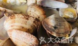 广州南沙区吃瓜,瓜果飘香，品味夏日田园风情