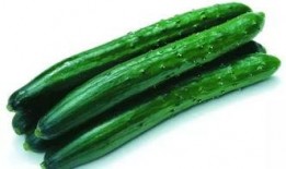 看瓜吃瓜推文怎么写标题,揭秘看瓜吃瓜背后的趣味与真相