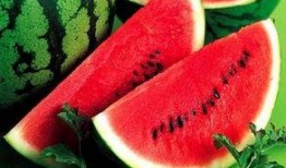 吃瓜和学习,趣味生活与知识成长的完美融合