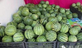 重庆吃瓜陈某某,揭秘网络红人的崛起与争议