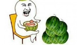 吃瓜为什么这么直