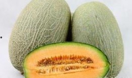 和朋友吃哈密瓜,与好友共享甜蜜时光