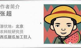 大国的吃瓜群众,揭秘网络时代的全民娱乐现象