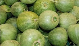 甜tian吃瓜,揭秘娱乐圈那些不为人知的幕后故事