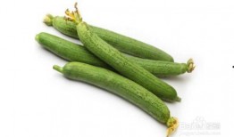 elles可以 吃瓜,揭秘娱乐圈的“吃瓜”文化