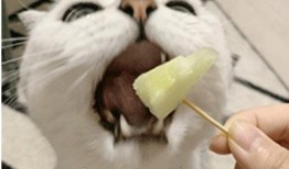 吃瓜侵犯他人隐私吗,边界何在？揭秘吃瓜行为与隐私侵犯的微妙关系