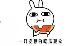 关于吃瓜的节目名称