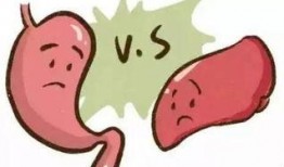 吃瓜不吐的句子,揭秘娱乐圈幕后真相