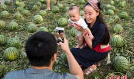 校园中的吃瓜,揭秘校园里的那些“瓜”