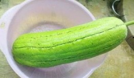 水瓜怎样晒干吃,传统晒干工艺，尽享自然风味