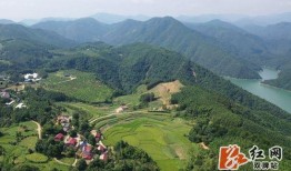 曹县大寨吃瓜视频